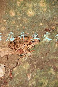 新店开业文案
