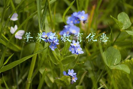 苹果的教育优惠是全年都有的吗(苹果教育优惠2021时间是什么时候？苹果教育优惠2021返校季开放时间)