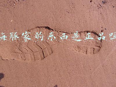 海豚家都是正品吗(海豚家是什么平台，商品的质量怎么样)