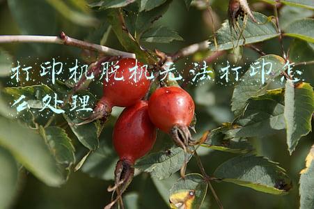 打印机脱机无法打印怎么处理