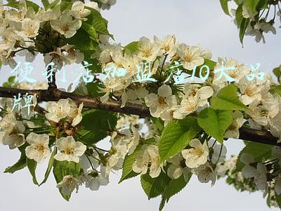 便利店加盟店10大品牌