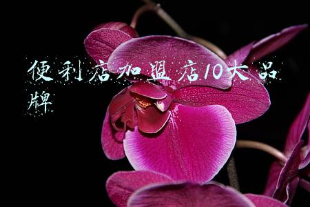 便利店加盟店10大品牌