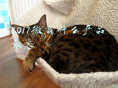 2017微商什么产品最火