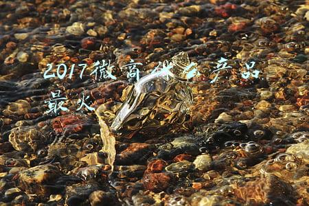 2017微商什么产品最火