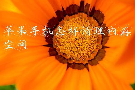苹果手机怎样清理内存空间