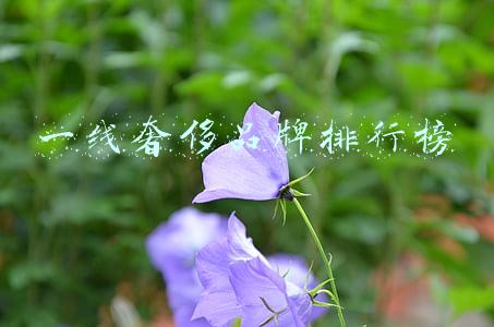 一线奢侈品牌排行榜