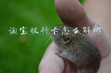 淘宝银行卡怎么解绑