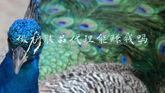 做护肤品代理能赚钱吗