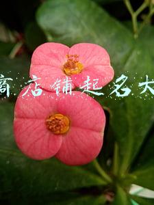 电商店铺起名大全
