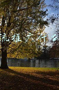 信息流推广什么意思