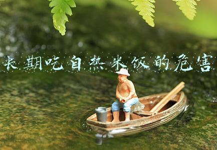 长期吃自热米饭的危害