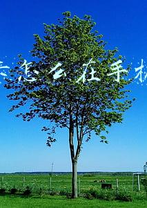 重庆公交卡怎么在手机上充值(快提醒家里的老人！重庆公交敬老卡线上年检与充次上线啦)