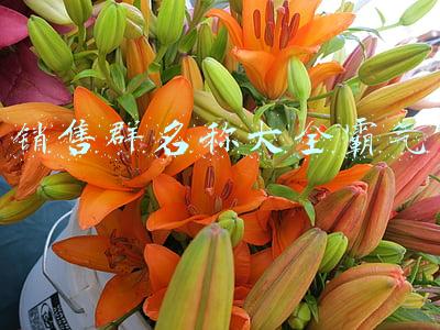 销售群名称大全霸气十足(比亚迪、蔚来、特斯拉纷纷成立保险经纪公司，看中了什么？)