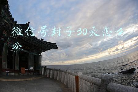 微信号封了30天怎么办