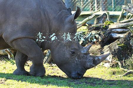 怎么锁微信