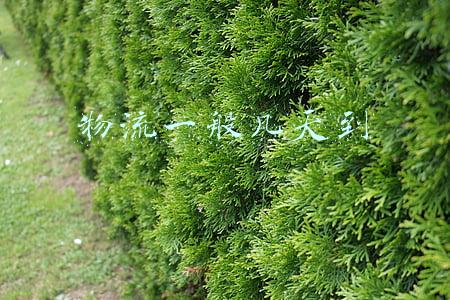 物流一般几天到