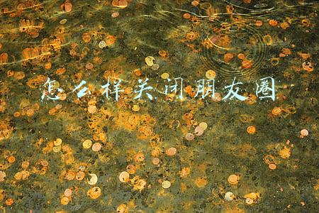 怎么样关闭朋友圈