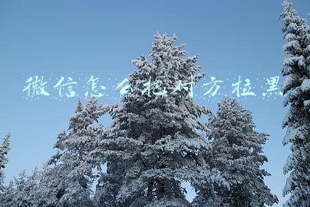 微信怎么把对方拉黑