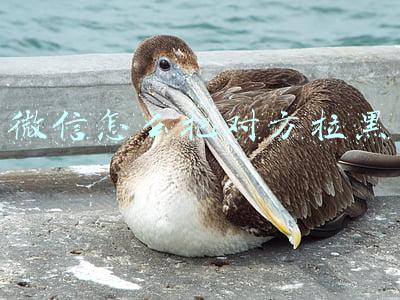 微信怎么把对方拉黑