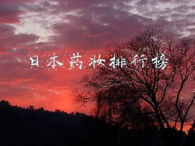 日本药妆排行榜