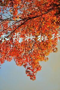 日本平价药妆排行榜前十名(到日本买什么日本药妆大集合必买平价产品)
