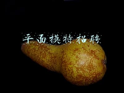 平面模特招聘