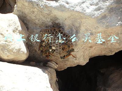 网上银行怎么买基金