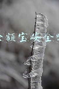 余额宝安全吗 受法律保护吗(余额宝不安全？)