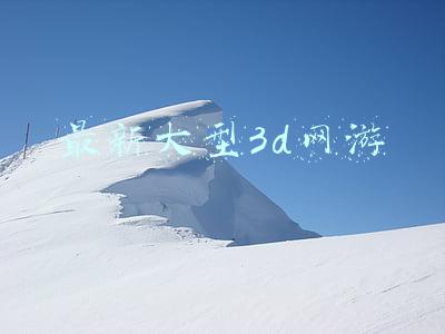 电脑版大型3d网游(盘点：那些年追过的大型3D网络游戏，80后的回忆，你还记得几款？)