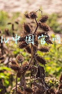 lv中国官网女包图片(今年秋冬最值得入手的LV包包大合集来咯)