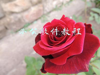 办公软件教程
