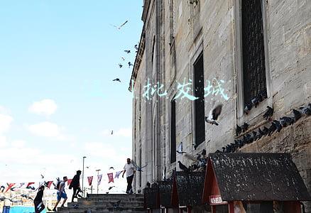 温州鞋子批发网站(名嘉集团：蓬莱博展温州鞋城批发中心七大优势)