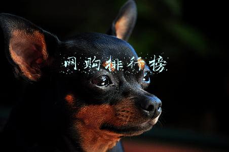 网购排行榜