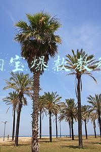 淘宝爆款教程