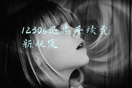12306退票手续费新规定