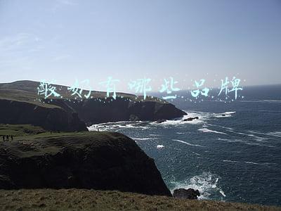 酸奶有哪些品牌