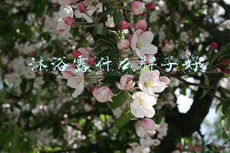 沐浴露什么牌子好