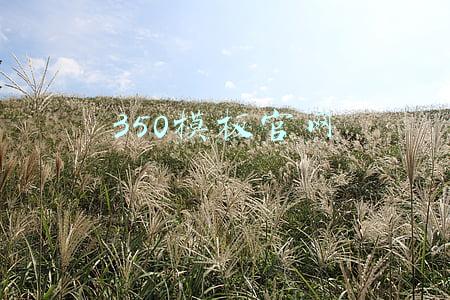 350模板官网客户端下载(虹宇宙与龙湖集团达成数字空间相关合作；《2021广东省数字政府网络安全指数评估报告》发布 | 36氪大公司数字创新指南0228)