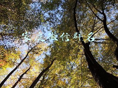 家庭微信群名称(为什么我们家的微信群叫\u0026#34;四个鸡蛋\u0026#34;)