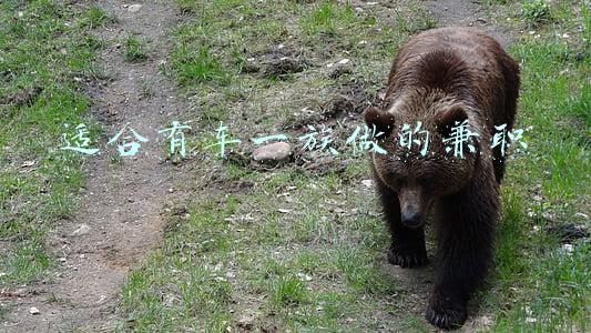 适合有车一族做的兼职