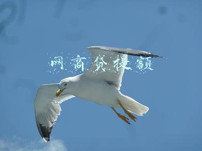 网商贷提额