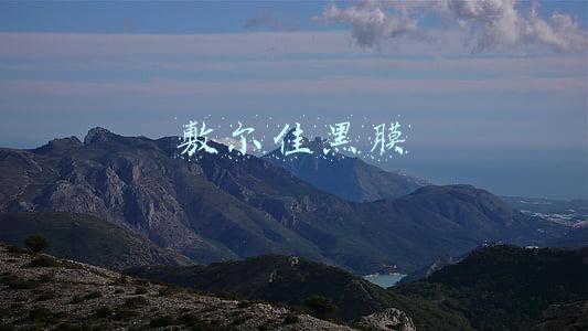 敷尔佳黑膜