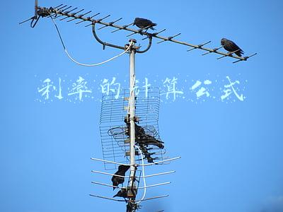 利率的计算公式