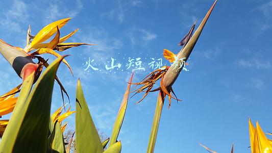 火山短视频