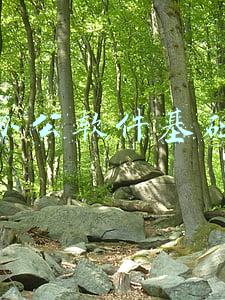 实用办公软件基础教程