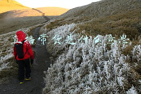 直播带货是什么意思