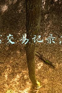支付宝交易记录怎么查