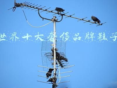 世界十大奢侈品牌鞋子
