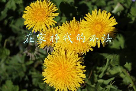 在家挣钱的办法
