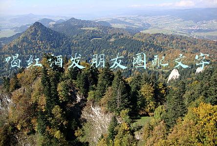 喝红酒发朋友圈配文字